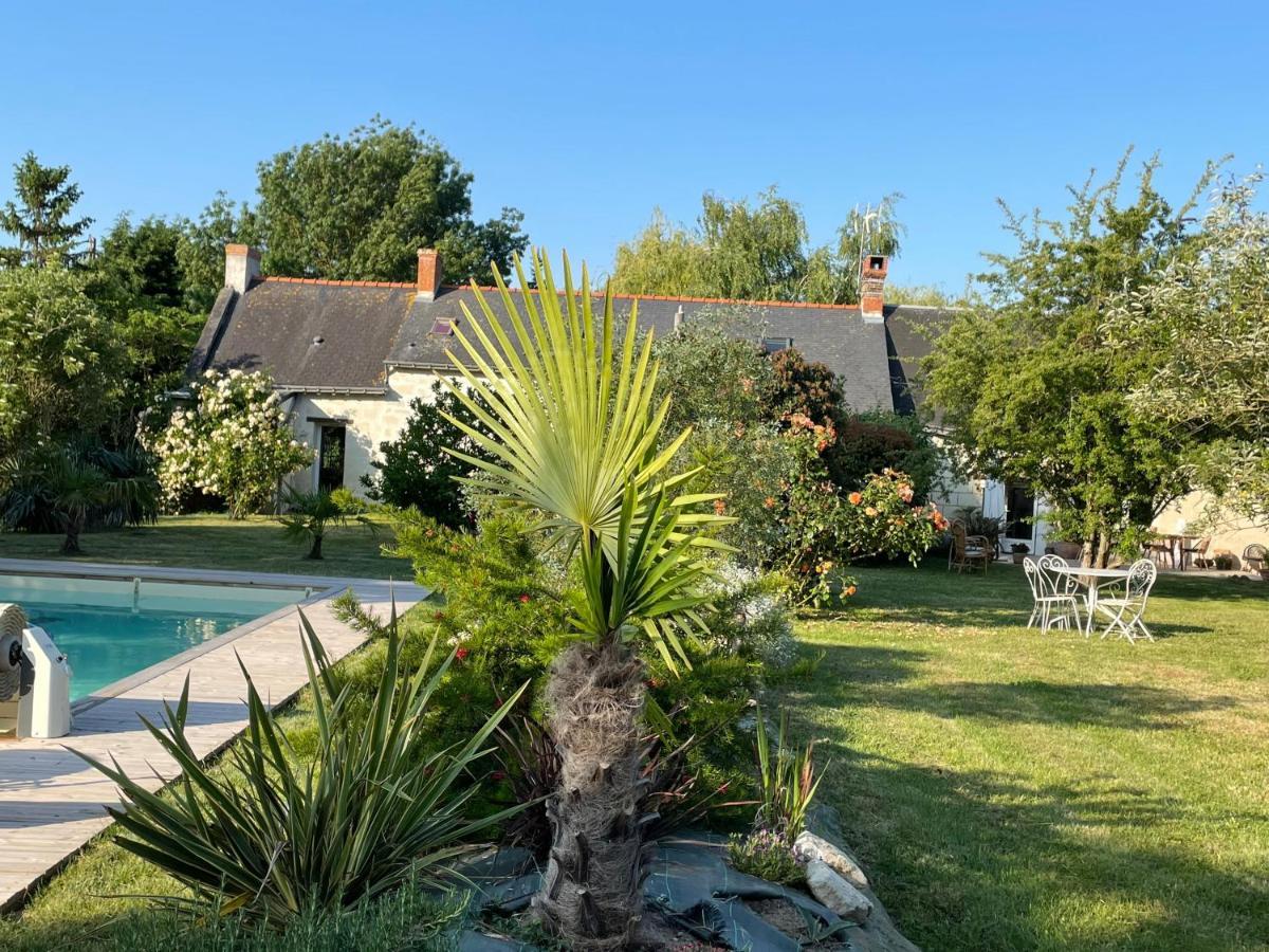 Chambres D Hotes Avec Piscine Et Spa La Foliere Saumur Villebernier Bagian luar foto
